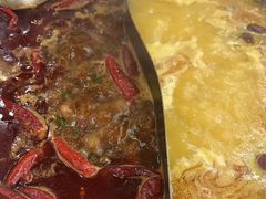 -朱光玉火锅馆(正弘城店)