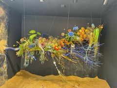 -上海鲜花港
