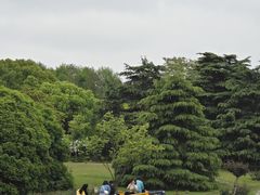-上海滨江森林公园