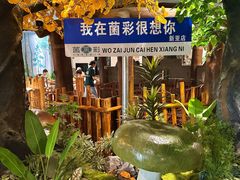 -菌彩云南野生菌火锅(新亚洲店)