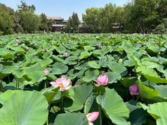 -莲池书院博物馆