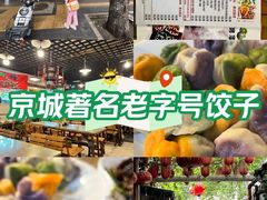 -宝源饺子(麦子店街店)