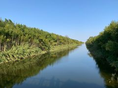 -黄海国家森林公园