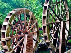 -广州白江湖森林公园