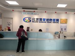 -北京观赏动物医院·24小时大型综合·猫专科·异宠专科