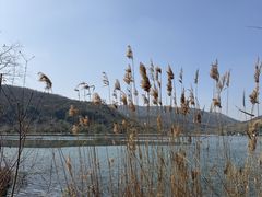 -南北湖风景区