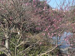 -杭州半山国家森林公园