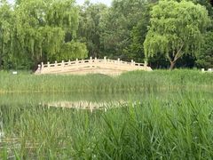 -北坞公园