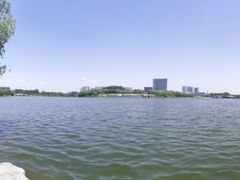 -大兴滨河森林公园