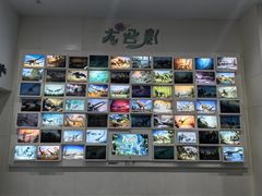 -安徽省地质博物馆