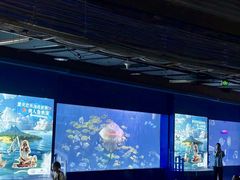 -重庆欢乐海底世界