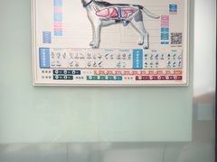 -半岛宠物医院24小时(科华中路店)