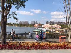 -上海长兴岛郊野公园