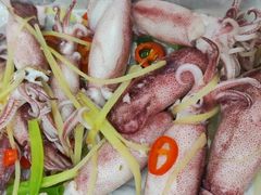 南澳小鱿鱼-海胆公主南澳岛美食海鲜