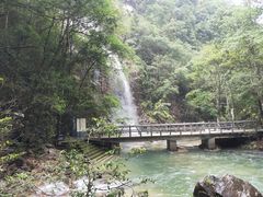 -九龙江国家森林公园