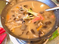 锅仔鲜菌-金龙寨(解西店)