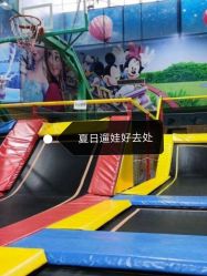 -爱丽丝奇幻乐园