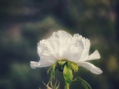 -幕燕滨江·长江观音景区