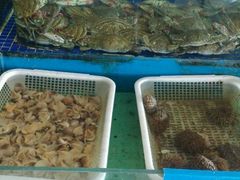 android_upload_pic-蓝港海鲜厨房(金水路店)