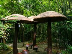 -大屏嶂森林公园