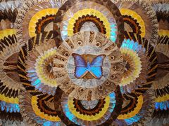 -上海昆虫博物馆