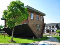 -金山农民画村-枫泾波兰倒置屋