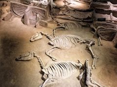 -洛阳周王城天子驾六博物馆