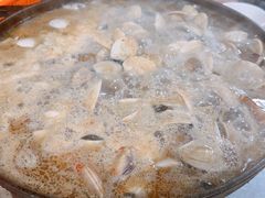 -顺德哥卜卜贝(旗舰店)