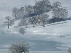 -塞罕坝国家级自然保护区