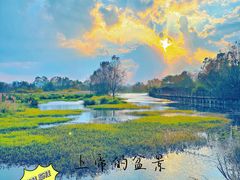 -会仙湿地