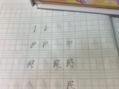 刺身澳龙-宝燕壹号(徐汇店)