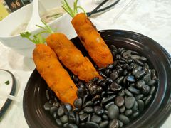 -丁老爷子苏香圆