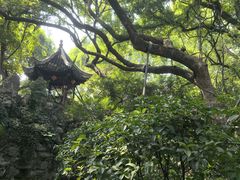 -绮园景区