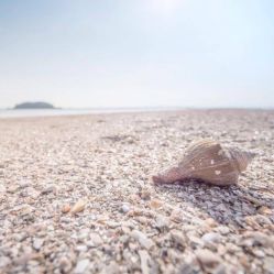 -薇兰专业脱毛连锁机构