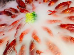 -红盔甲·小龙虾(天钥桥店)