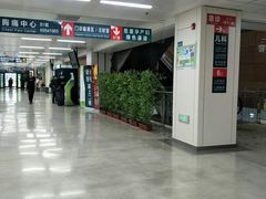 -首都医科大学附属北京潞河医院