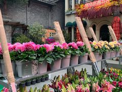 -星巴克臻选(成都宽窄巷子店)