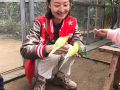 -呀路古热带植物园