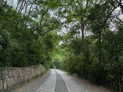-紫金山山顶公园
