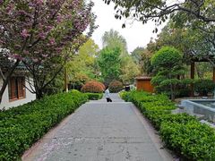 -郑州银基黄帝宫御温泉