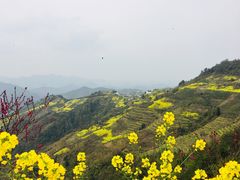 -石潭村