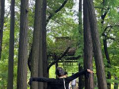 -东湖落雁景区