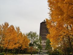 -玲珑塔公园