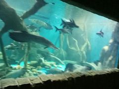 -多彩贵州城极地海洋世界