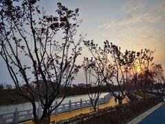-洪泽湖古堰景区