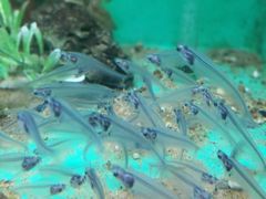 -常州海昌海洋探索馆