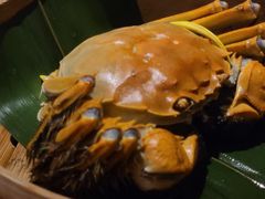 -蟹榭(静安寺晶品商场店)