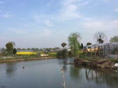 -马陆小张葡萄园农家乐