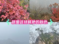 -大岭沟猕猴桃谷风景区