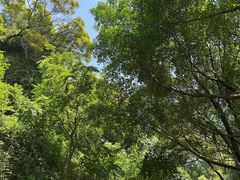 -金鸡山公园